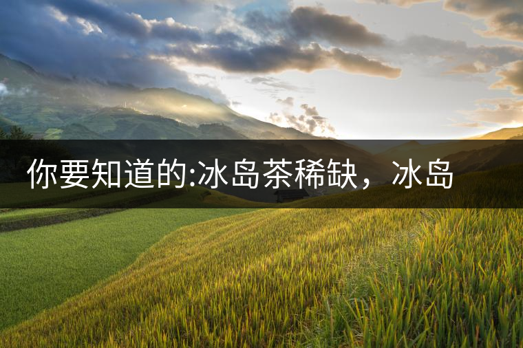 你要知道的:冰島茶稀缺，冰島熟茶更來(lái)之不易你要知道的：冰島茶稀缺，冰島熟茶更來(lái)之不易