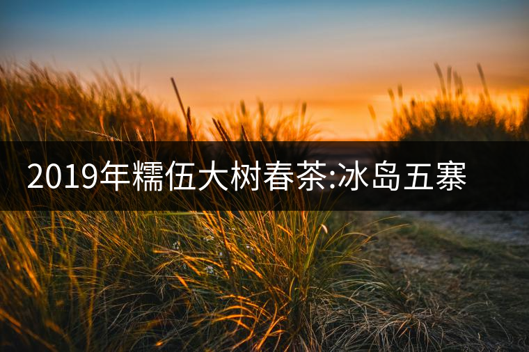 2019年糯伍大樹春茶:冰島五寨甜柔口感的代表，售價(jià)不...2019年糯伍大樹春茶：冰島五寨甜柔口感的代表，售價(jià)不到500
