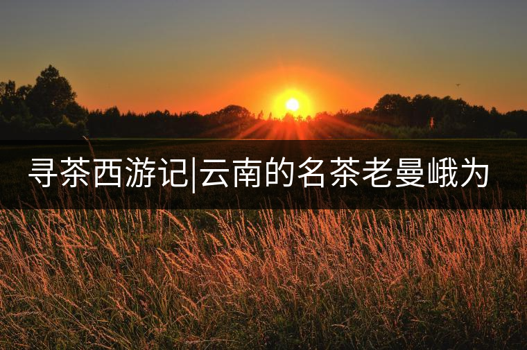 尋茶西游記|云南的名茶老曼峨為什么這么多人愛，這里...尋茶西游記｜云南的名茶老曼峨為什么這么多人愛，這里給你答案！