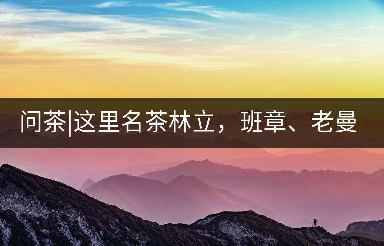 問茶|這里名茶林立，班章、老曼峨皆在其列!問茶｜這里名茶林立，班章、老曼峨皆在其列！