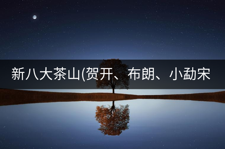 新八大茶山(賀開、布朗、小勐宋、巴達)講解二新八大茶山（賀開、布朗、小勐宋、巴達）講解二