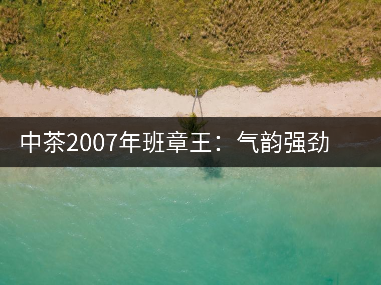 中茶2007年班章王：氣韻強勁，蜂蜜水般甜潤，一直被老茶客撿漏