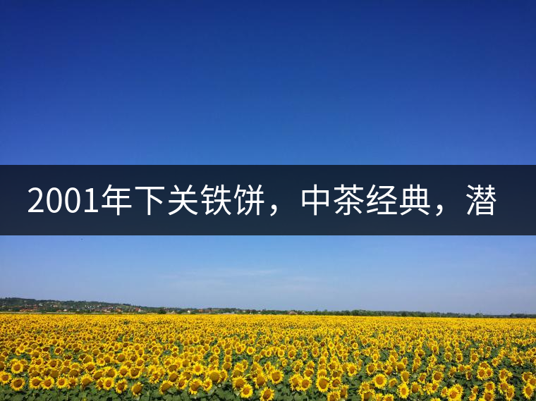 2001年下關(guān)鐵餅，中茶經(jīng)典，潛力可期!