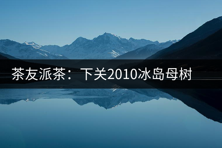 茶友派茶：下關(guān)2010冰島母樹，挺甜的，母樹是個(gè)什么概念？