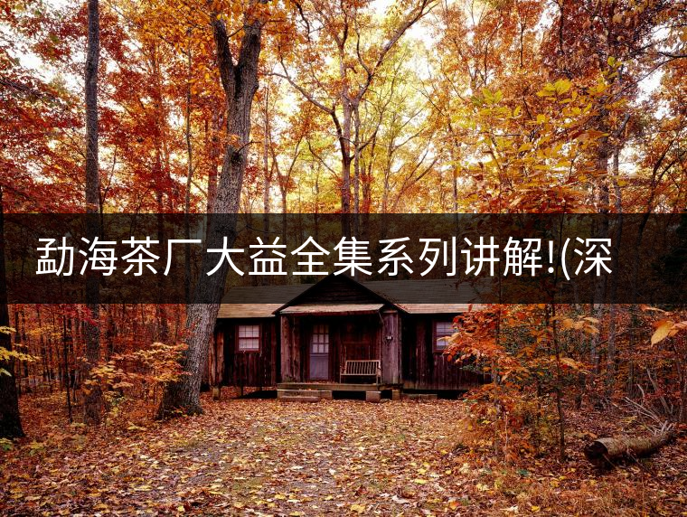 勐海茶廠大益全集系列講解!(深度講解大益茶品，建議收藏...勐海茶廠大益全集系列講解?。ㄉ疃戎v解大益茶品，建議收藏）