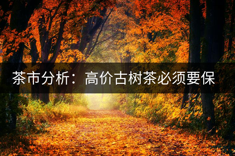茶市分析：高價古樹茶必須要保證是正品