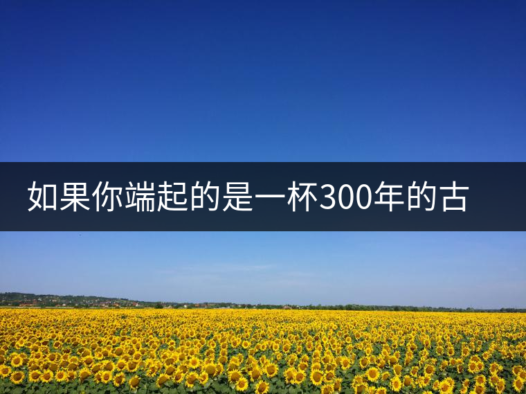 如果你端起的是一杯300年的古樹茶，那會(huì)是一種怎樣的心境？