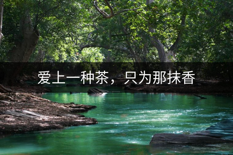 愛(ài)上一種茶，只為那抹香