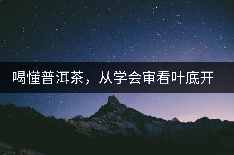 喝懂普洱茶，從學(xué)會(huì)審看葉底開始