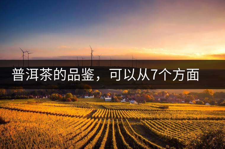 普洱茶的品鑒，可以從7個方面著手