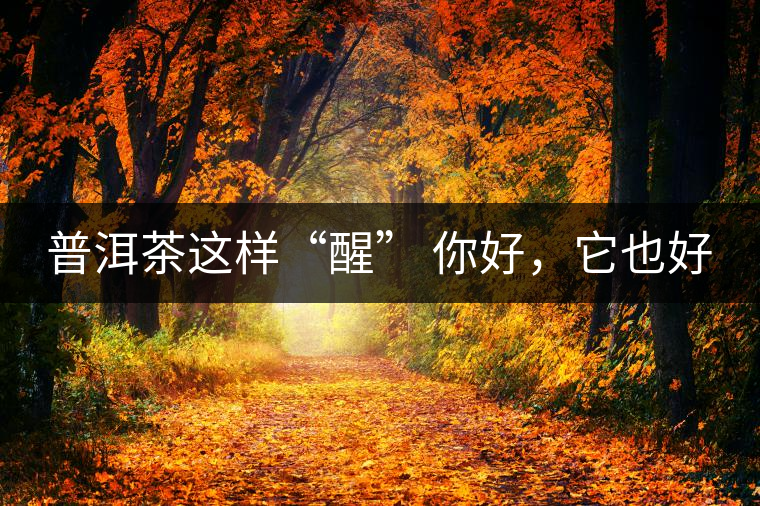 普洱茶這樣“醒” 你好，它也好