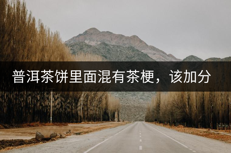 普洱茶餅里面混有茶梗，該加分還是減分？