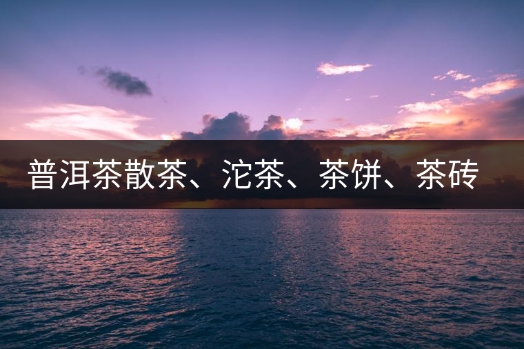 普洱茶散茶、沱茶、茶餅、茶磚哪種更好？