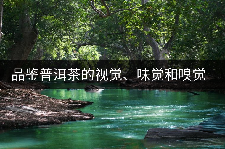 品鑒普洱茶的視覺、味覺和嗅覺指標(biāo)