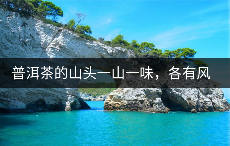 普洱茶的山頭一山一味，各有風(fēng)格