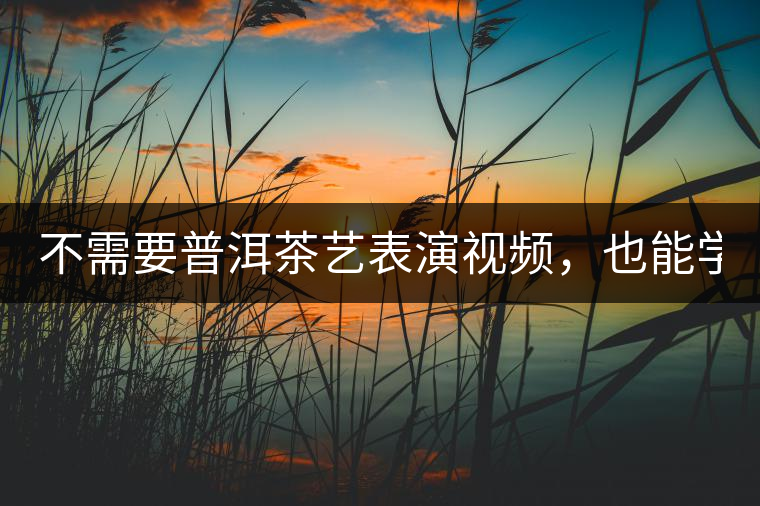 不需要普洱茶藝表演視頻，也能學(xué)會的茶藝！