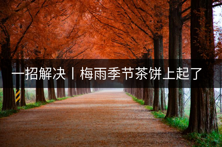 一招解決丨梅雨季節(jié)茶餅上起了白霜白點(diǎn)怎么辦？