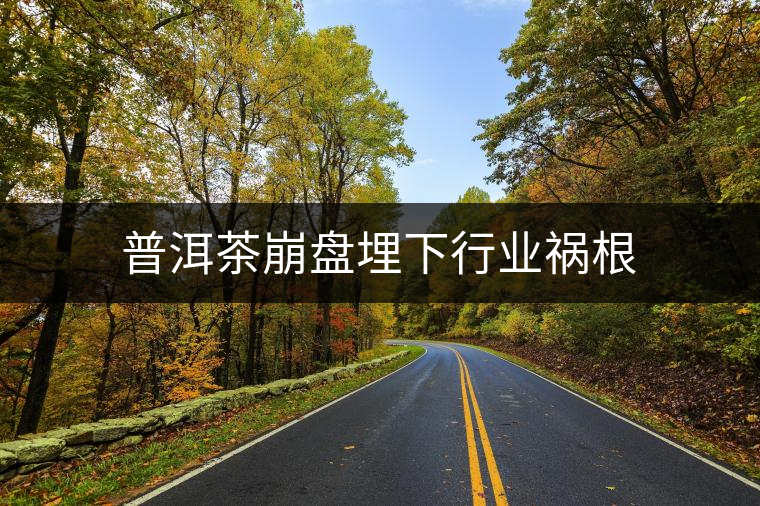 普洱茶崩盤埋下行業(yè)禍根