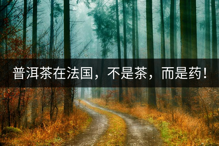 普洱茶在法國，不是茶，而是藥！