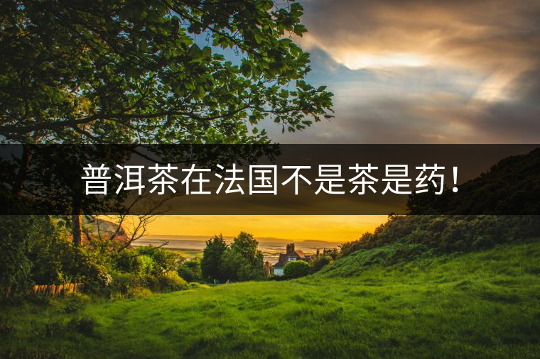 普洱茶在法國不是茶是藥！