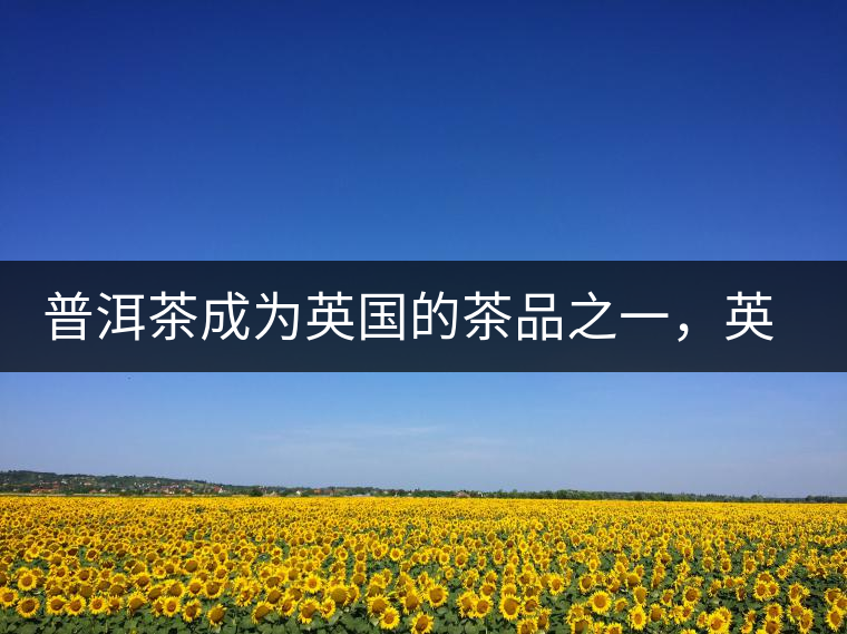 普洱茶成為英國(guó)的茶品之一，英國(guó)雜志給出7大理由