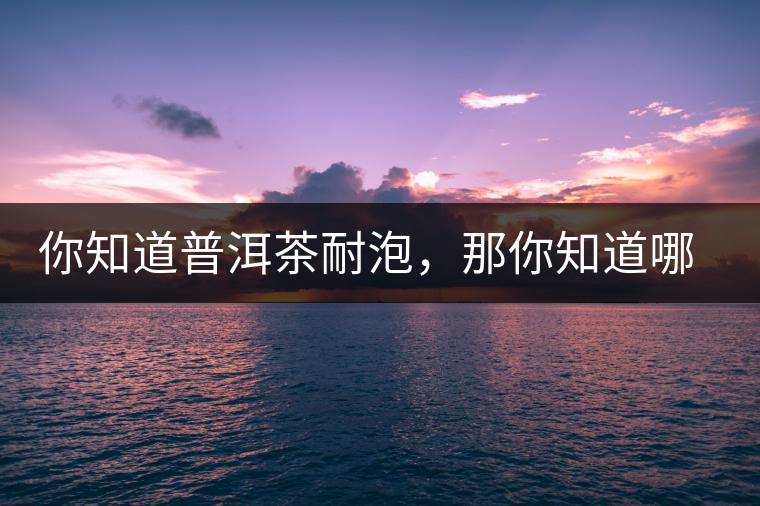 你知道普洱茶耐泡，那你知道哪一類普洱茶比較耐泡？