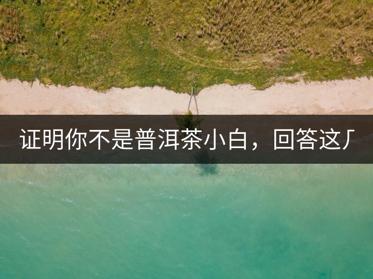 證明你不是普洱茶小白，回答這幾個(gè)問(wèn)題先！