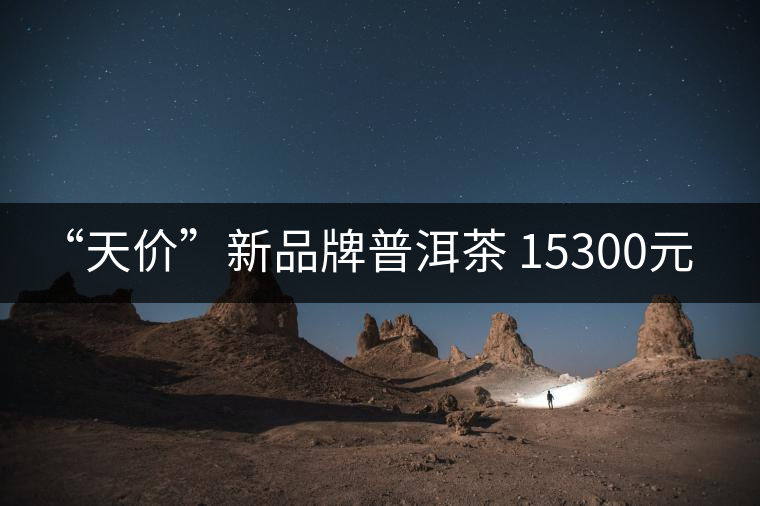 “天價(jià)”新品牌普洱茶 15300元/餅！