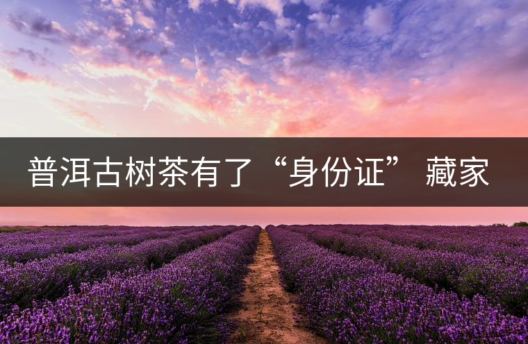 普洱古樹茶有了“身份證” 藏家投資更具保障 普洱古樹茶有了“身份證” 藏家投資更具保障