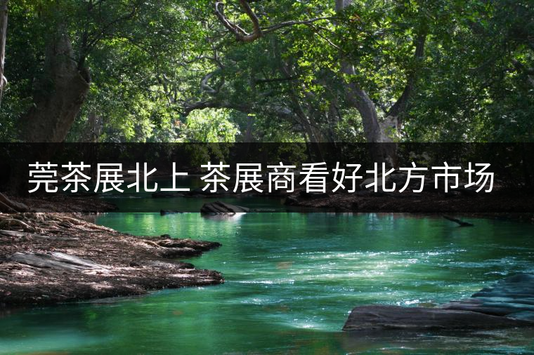 莞茶展北上 茶展商看好北方市場！