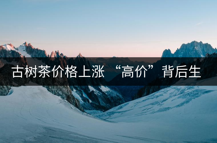 古樹(shù)茶價(jià)格上漲 “高價(jià)”背后生態(tài)環(huán)境令人擔(dān)憂