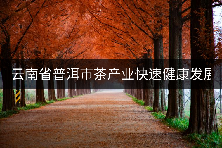 云南省普洱市茶產(chǎn)業(yè)快速健康發(fā)展 總產(chǎn)值86億元 云南省普洱市茶產(chǎn)業(yè)快速健康發(fā)展 總產(chǎn)值86億元