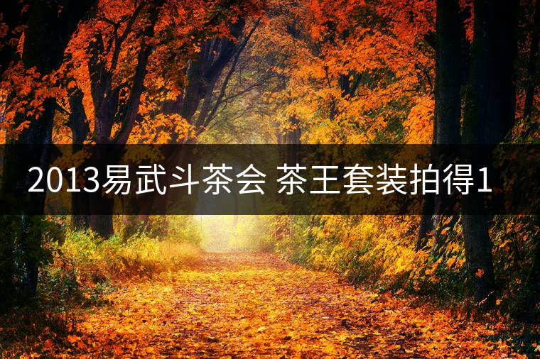 2013易武斗茶會 茶王套裝拍得16萬 2013易武斗茶會 茶王套裝拍得16萬