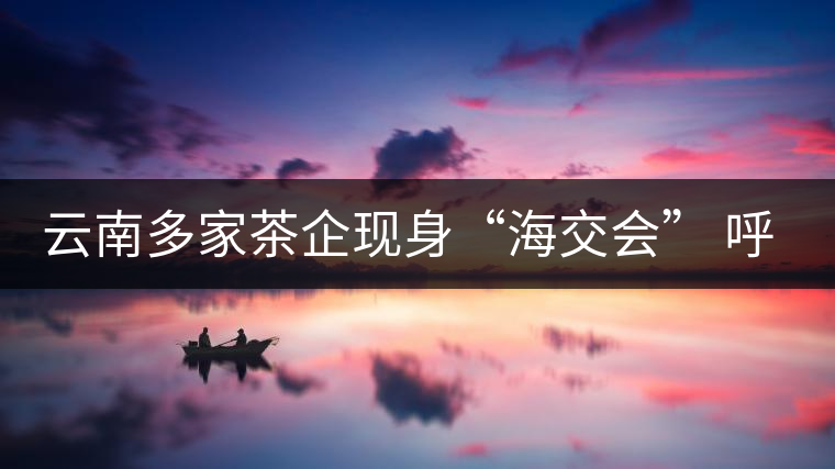云南多家茶企現(xiàn)身“海交會(huì)” 呼吁普洱茶投資應(yīng)理性