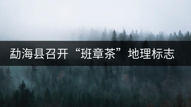 勐?？h召開“班章茶”地理標(biāo)志認(rèn)證評(píng)審會(huì)