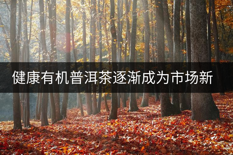 健康有機(jī)普洱茶逐漸成為市場(chǎng)新寵 健康有機(jī)普洱茶逐漸成為市場(chǎng)新寵
