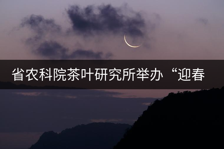 省農(nóng)科院茶葉研究所舉辦“迎春節(jié)、慶元旦”籃球聯(lián)誼賽