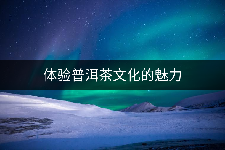 體驗(yàn)普洱茶文化的魅力 體驗(yàn)普洱茶文化的魅力