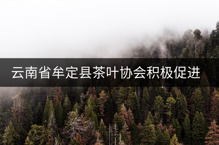 云南省牟定縣茶葉協(xié)會積極促進茶葉產(chǎn)業(yè)化發(fā)展