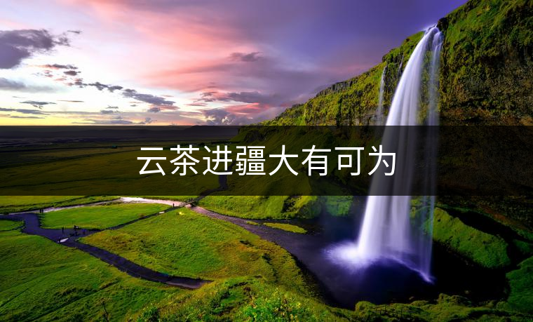 云茶進(jìn)疆大有可為 云茶進(jìn)疆大有可為