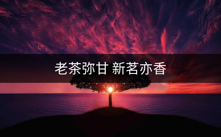 老茶彌甘 新茗亦香