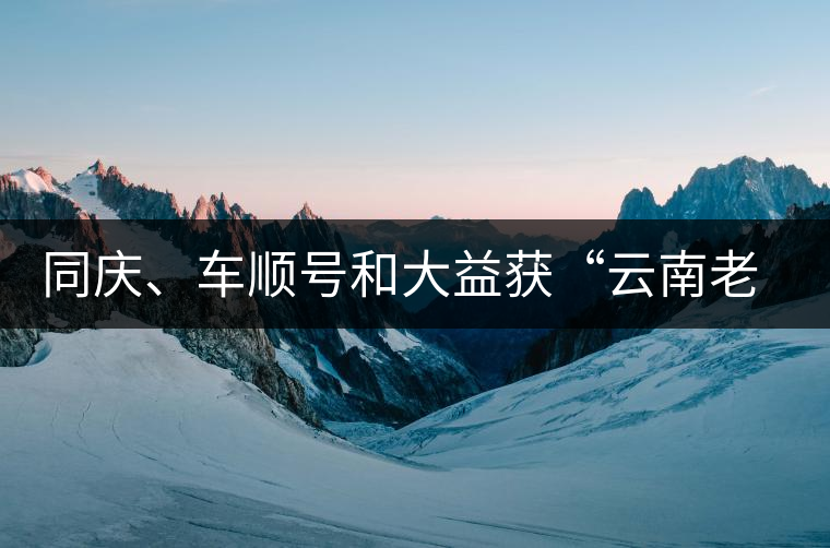 同慶、車順號和大益獲“云南老字號”稱號