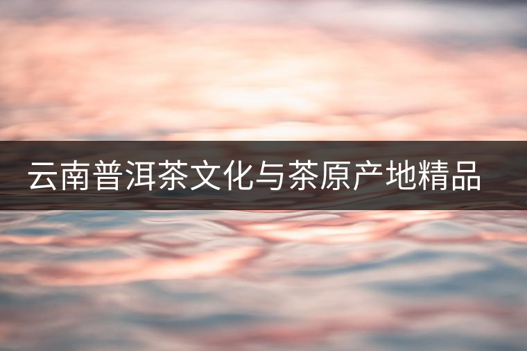 云南普洱茶文化與茶原產地精品展示交易中心成立