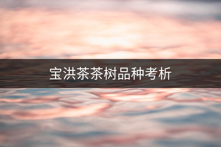 寶洪茶茶樹品種考析