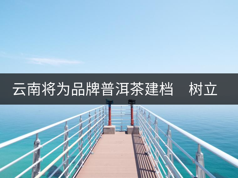 云南將為品牌普洱茶建檔　樹立產(chǎn)品整體形象