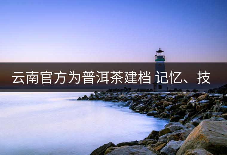 云南官方為普洱茶建檔 記憶、技藝雙傳承