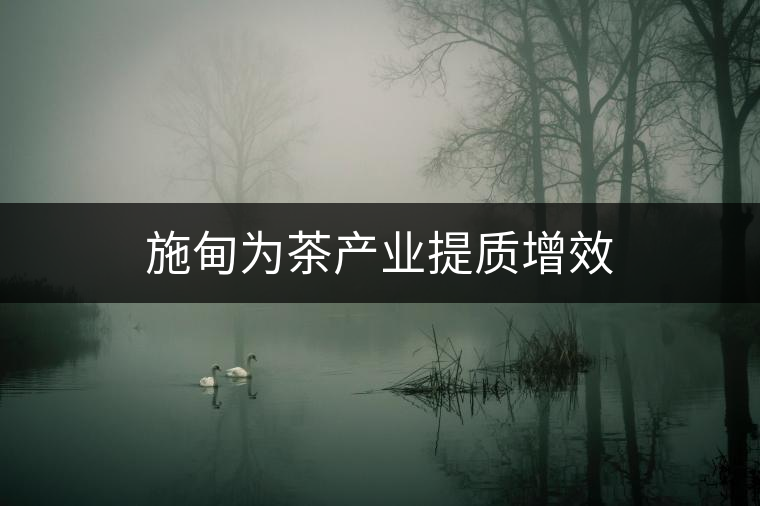 施甸為茶產業(yè)提質增效 施甸為茶產業(yè)提質增效