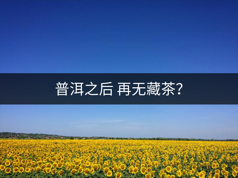 普洱之后 再無藏茶？