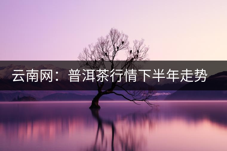 云南網(wǎng):普洱茶行情下半年走勢(shì)看好 云南網(wǎng):普洱茶行情下半年走勢(shì)看好