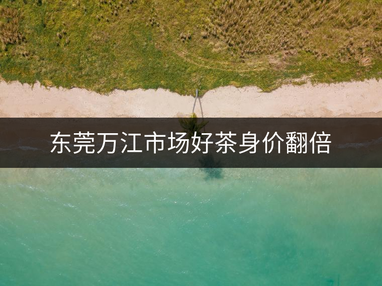 東莞萬江市場好茶身價(jià)翻倍